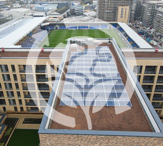 Triflex green, blue and biodiverse roof system slider image