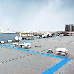 Sustainability at Triflex flat roof image