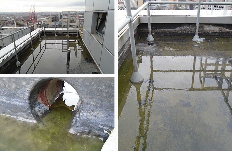 Arena Village Before