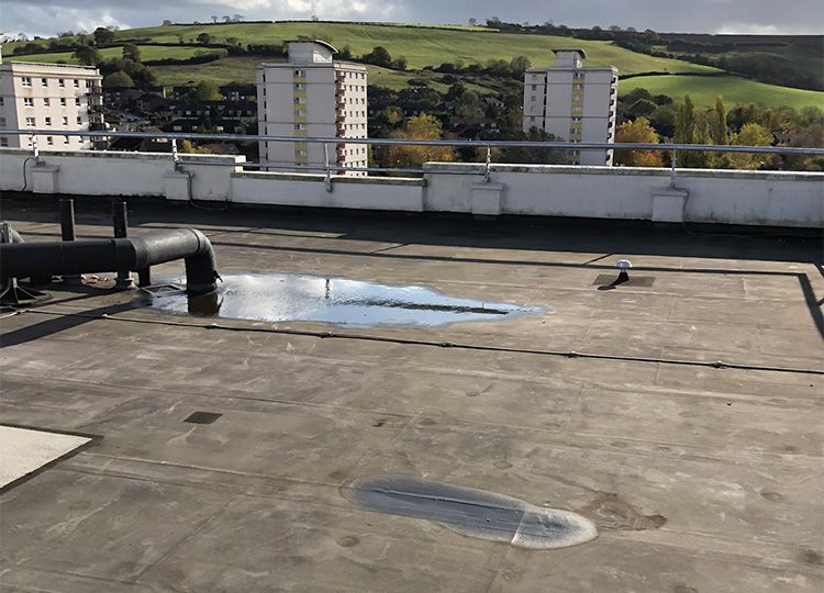 Triflex case study Bishport Avenue Bristol the challenge image