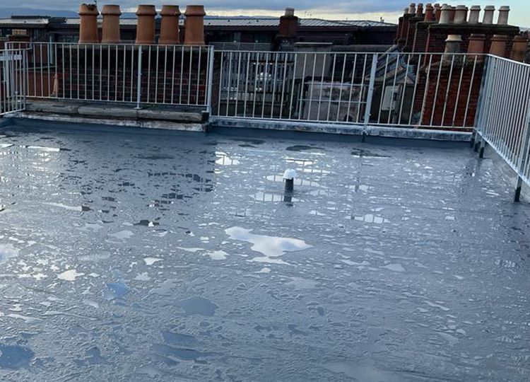 Triflex case study Mountjoy Square Dublin solution image