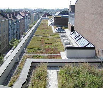 Triflex green roof waterproofing image